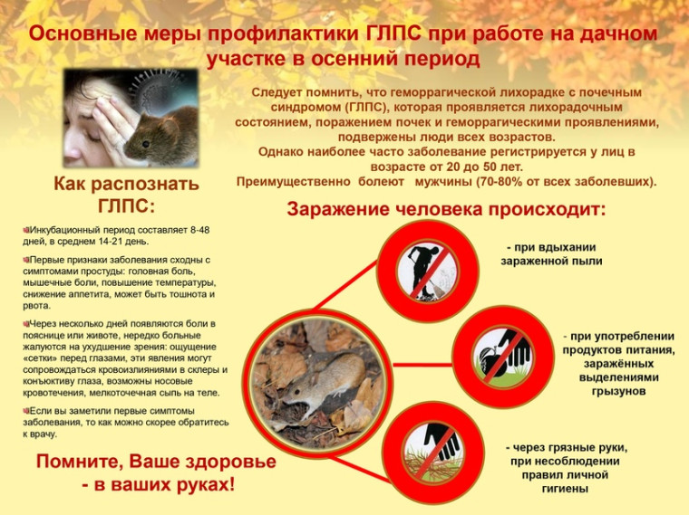 Профилактика ГЛПС!. Профилактика ГЛПС!.