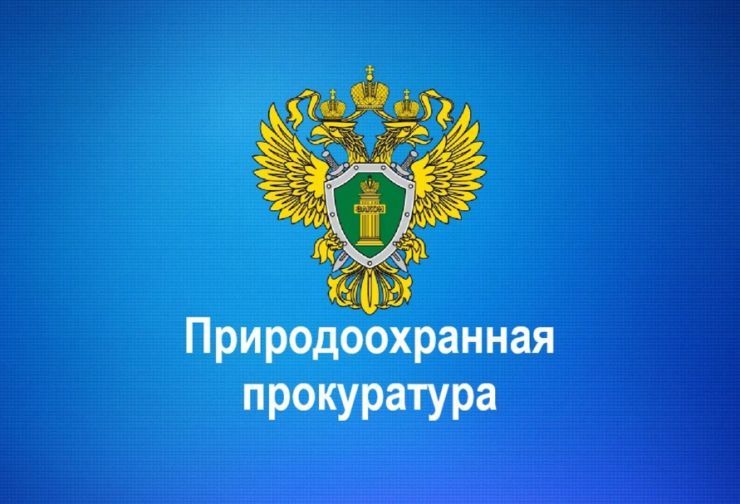 Природоохранная прокуратура разъясняет. Природоохранная прокуратура разъясняет.